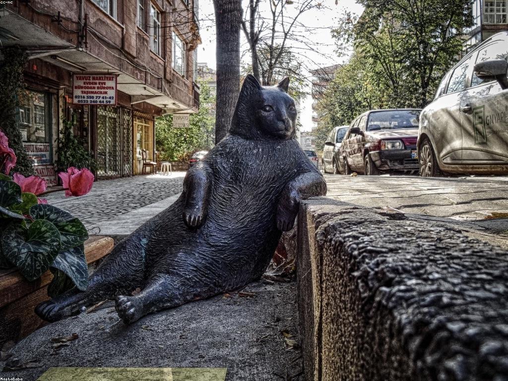 វិសាលភាពនៃព័ត៌មានថ្មីៗ និងការវិវត្តន៍